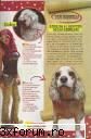 Revista oficiala rebelde - andreea93rbd - R3b3ld3