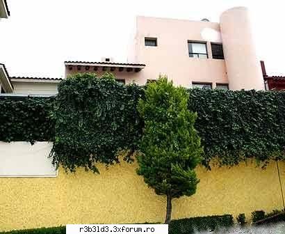 casa lu anahi - dulce_maria - Anahi-Mia
